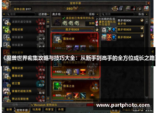 《魔兽世界密集攻略与技巧大全：从新手到高手的全方位成长之路》