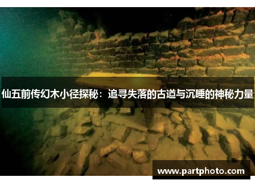 仙五前传幻木小径探秘：追寻失落的古道与沉睡的神秘力量